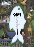 싱커 (창비청소년문학 29) 청소년 소설